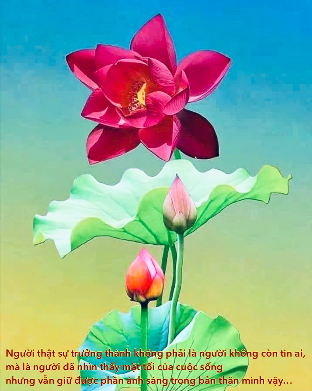 TỐI VÀ SÁNG